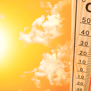 Optimized for running training and coaching success.